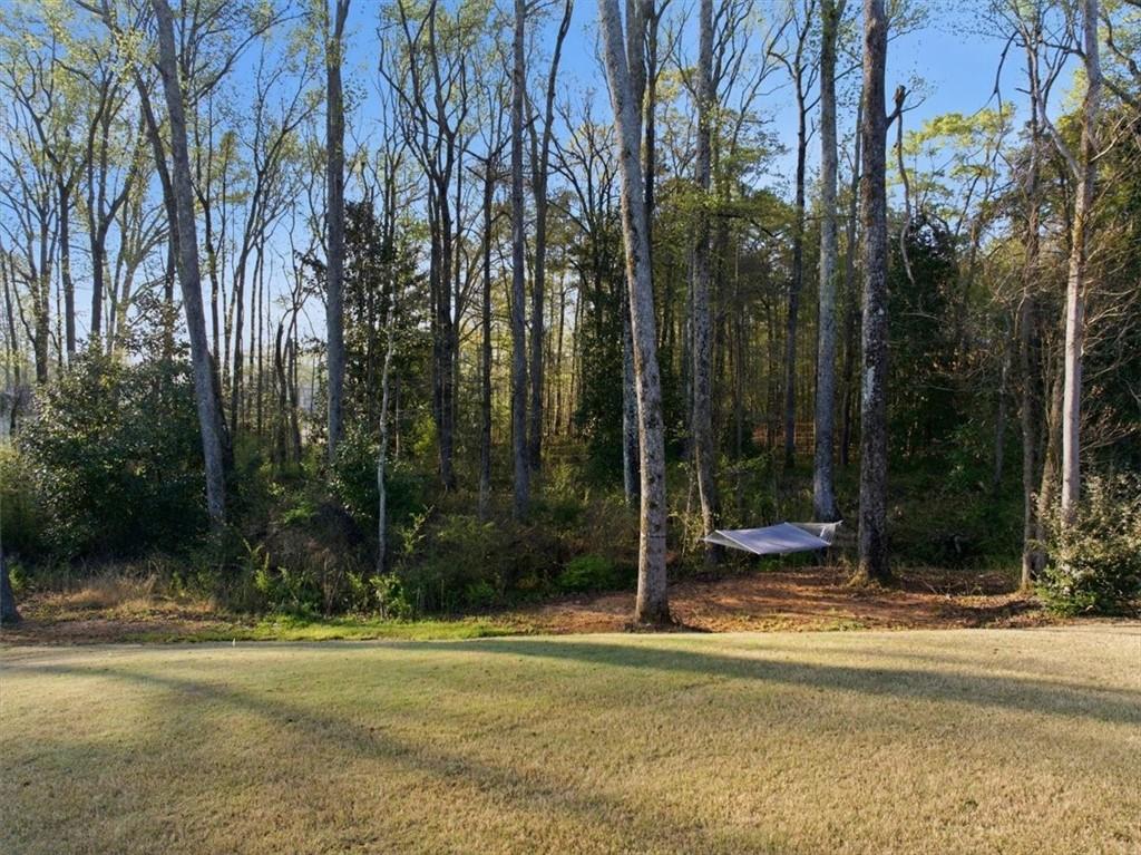 269 Baumgard Way Locust Grove, GA 30248 - Photo 60 of 69