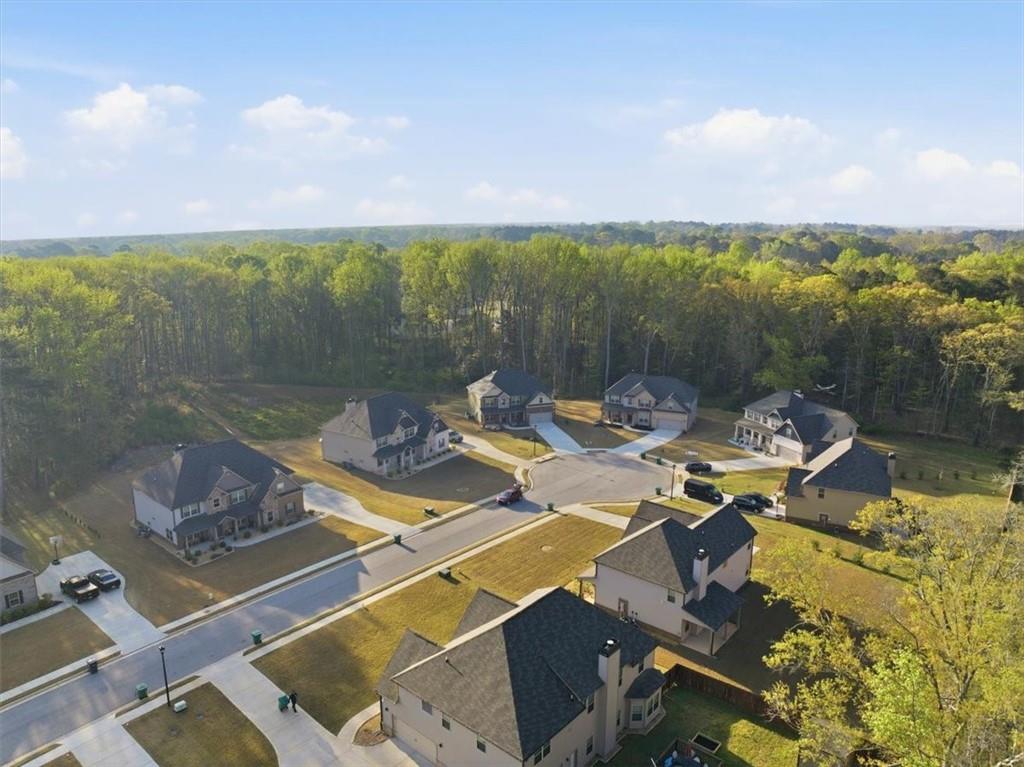 269 Baumgard Way Locust Grove, GA 30248 - Photo 66 of 69