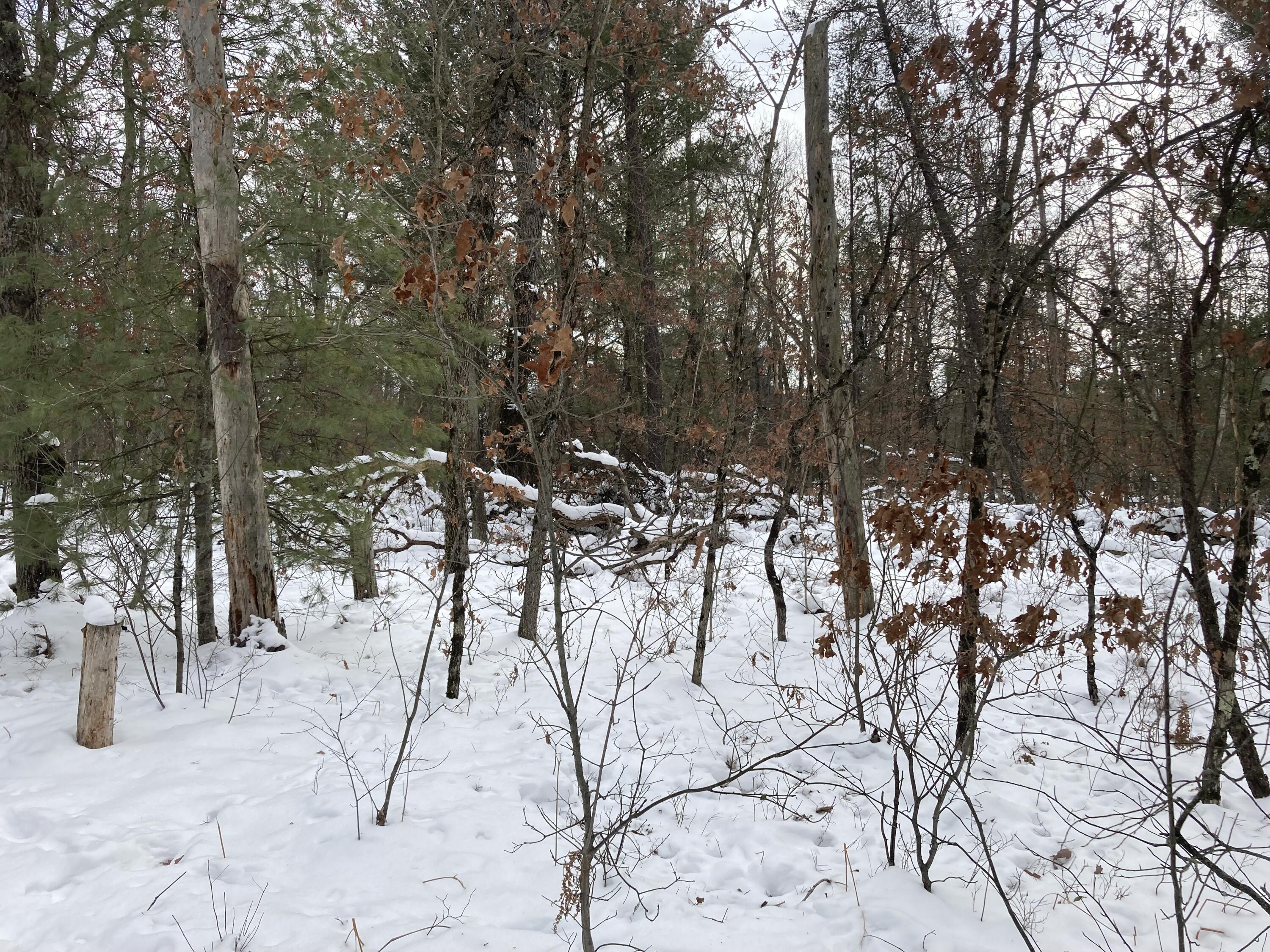 7354 South Nelson Road Chase, MI 49623 - Photo 2 of 8 IMG_6776