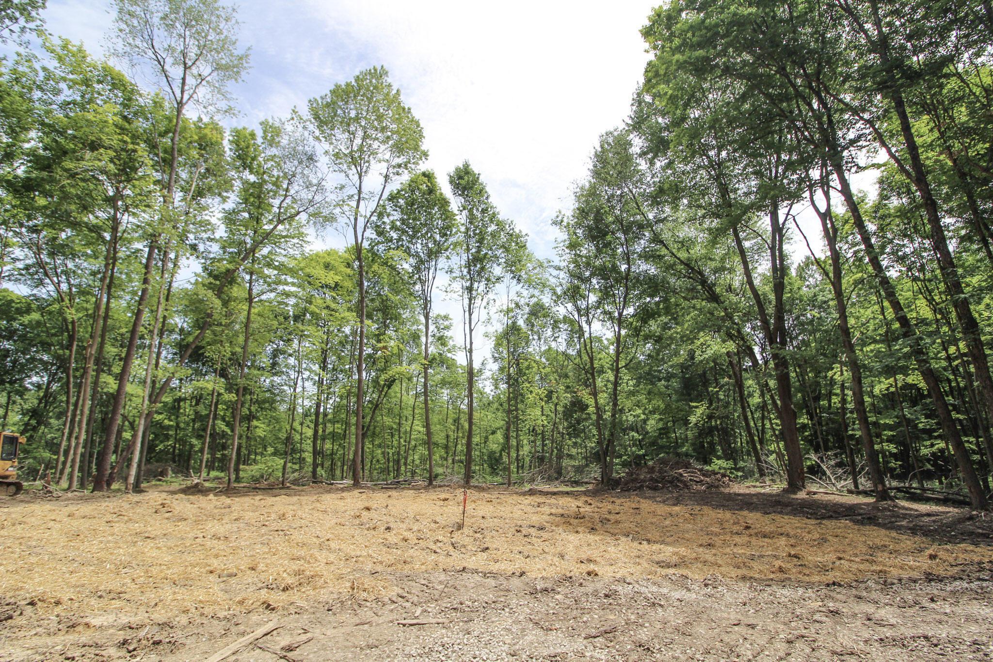 Lot 1 Mulberry Road Mount Perry, OH 43760 - Photo 27 of 31 28-IMG_8674