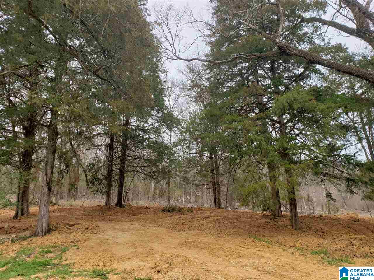 0 Remlap Drive, Unit 1 Remlap, AL 35133 - Photo 9 of 11