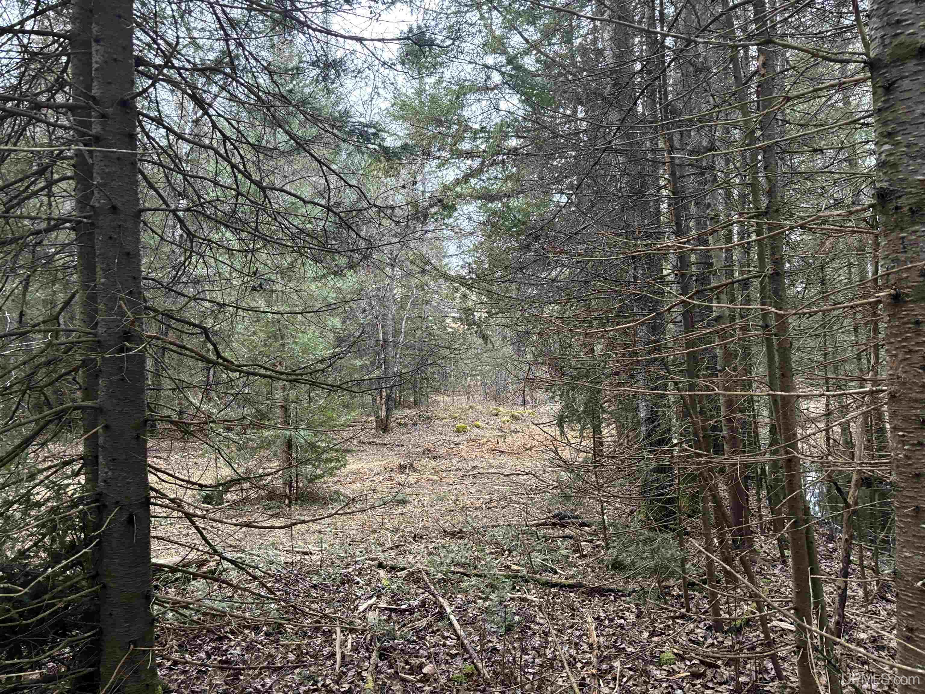 4480 W Sand Rock Road Hurley, WI 54534 - Photo 14 of 57