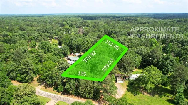 a view of a garden with an outdoor space