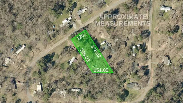 a picture of a tree with a yard