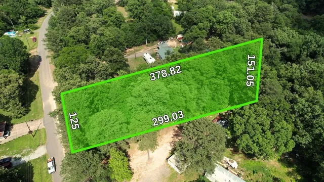 a view of a field with plants and large trees