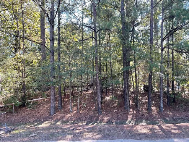 a view of outdoor space with lots of trees