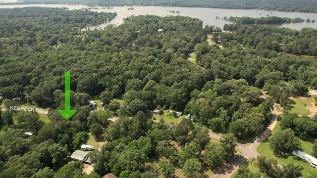 view of a forest with houses