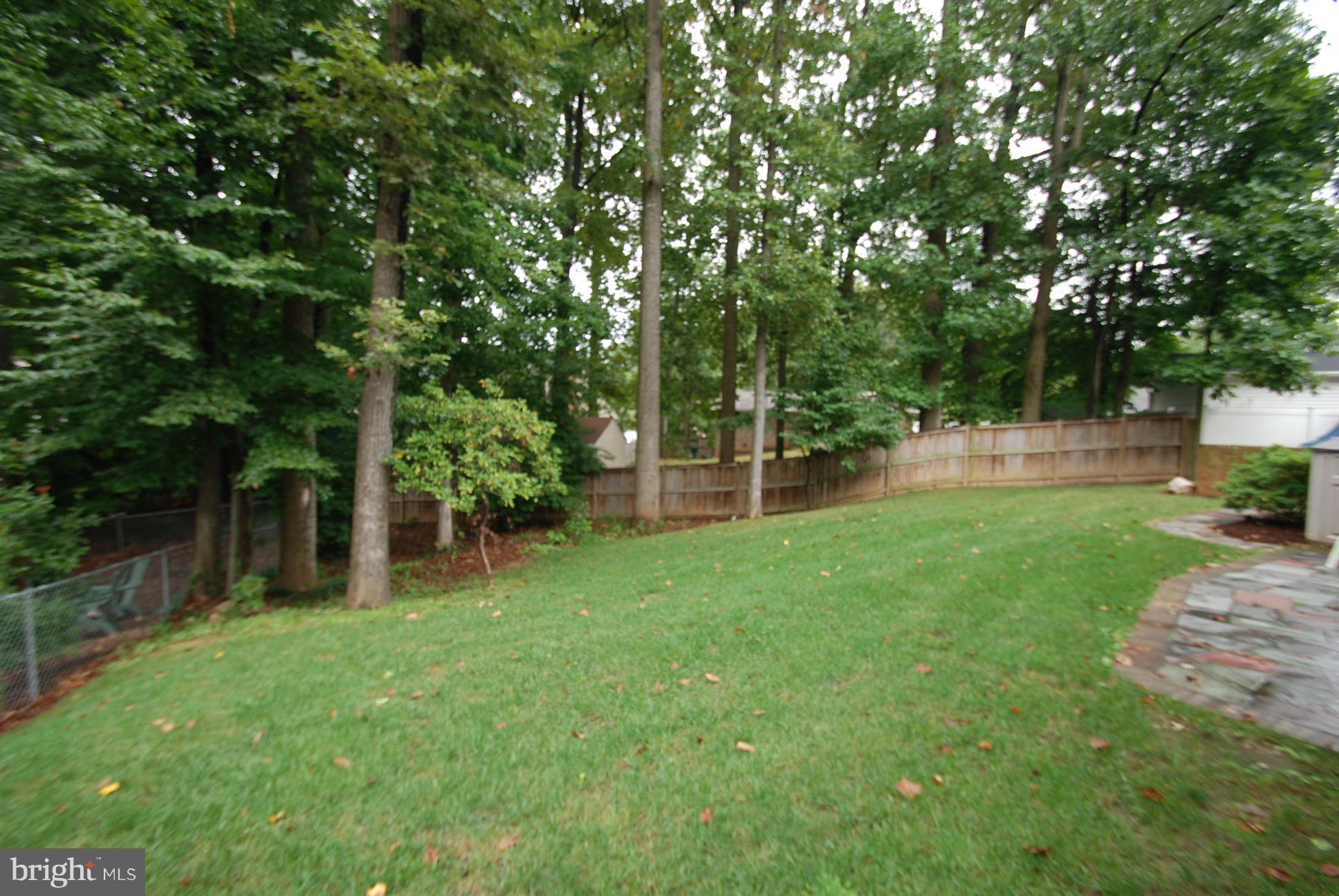 6803 Quebec Court Springfield, VA 22152 - Photo 6 of 17 fenced in rear yard