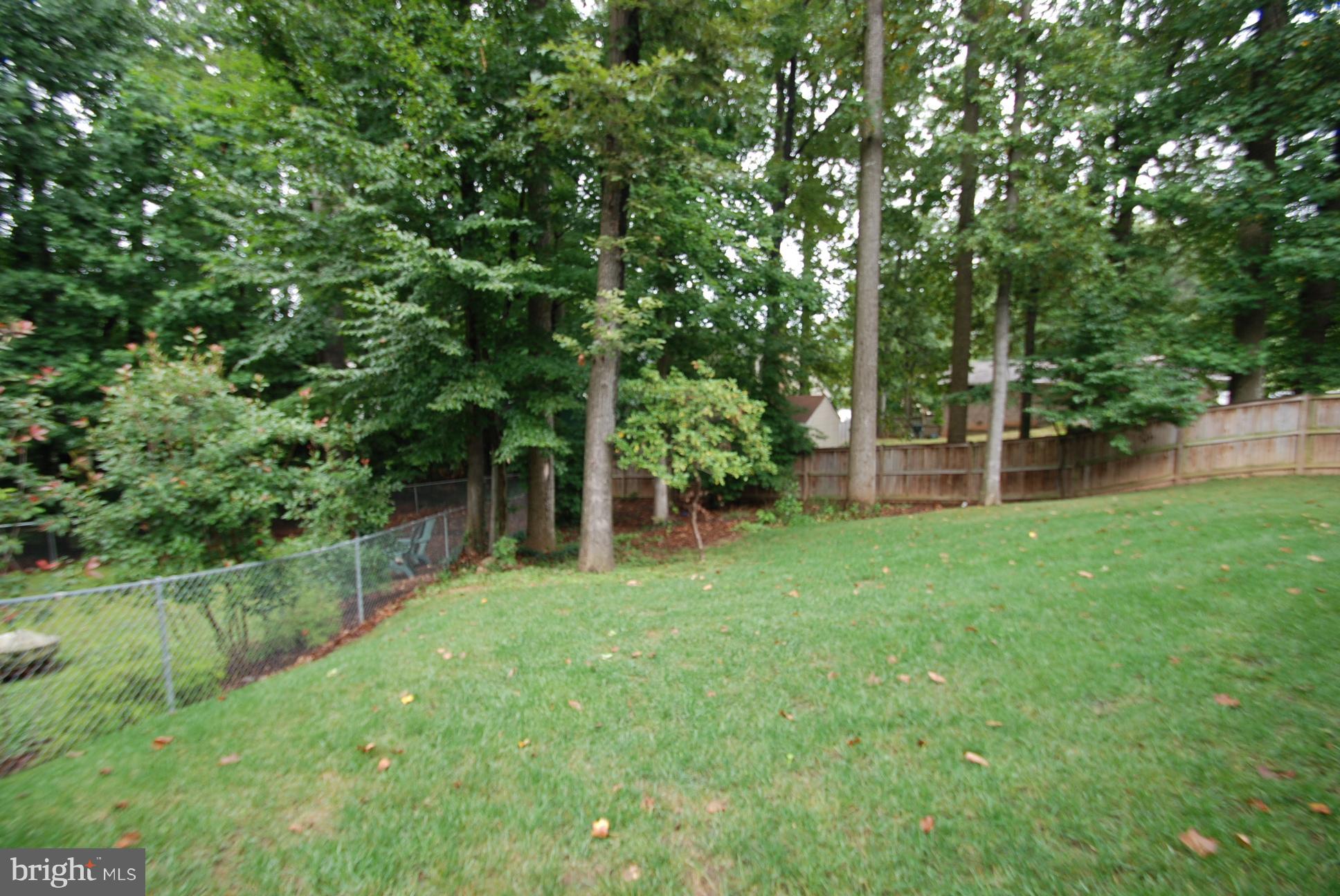 6803 Quebec Court Springfield, VA 22152 - Photo 7 of 17 nice trees and grass space in rear yard