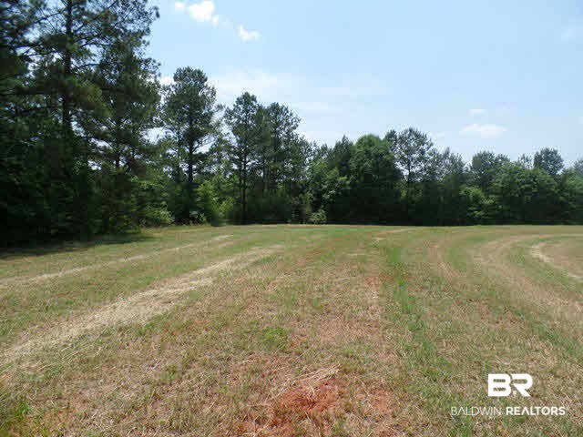 500 County Road 462 Kinston, AL 36453 - Photo 6 of 25