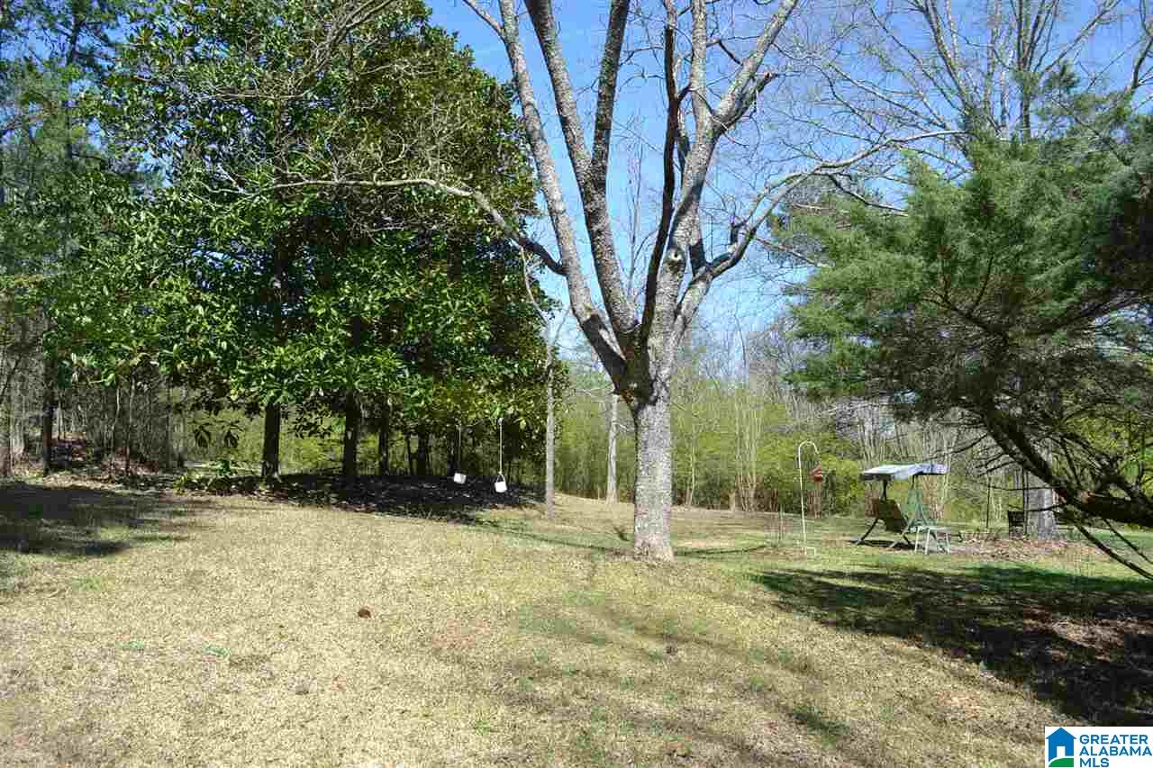10066 Mize Road Remlap, AL 35133 - Photo 4 of 42 Gallery Image 4