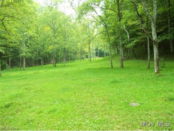 0 C Road Harrisville, WV 26362 - Photo 2 of 7