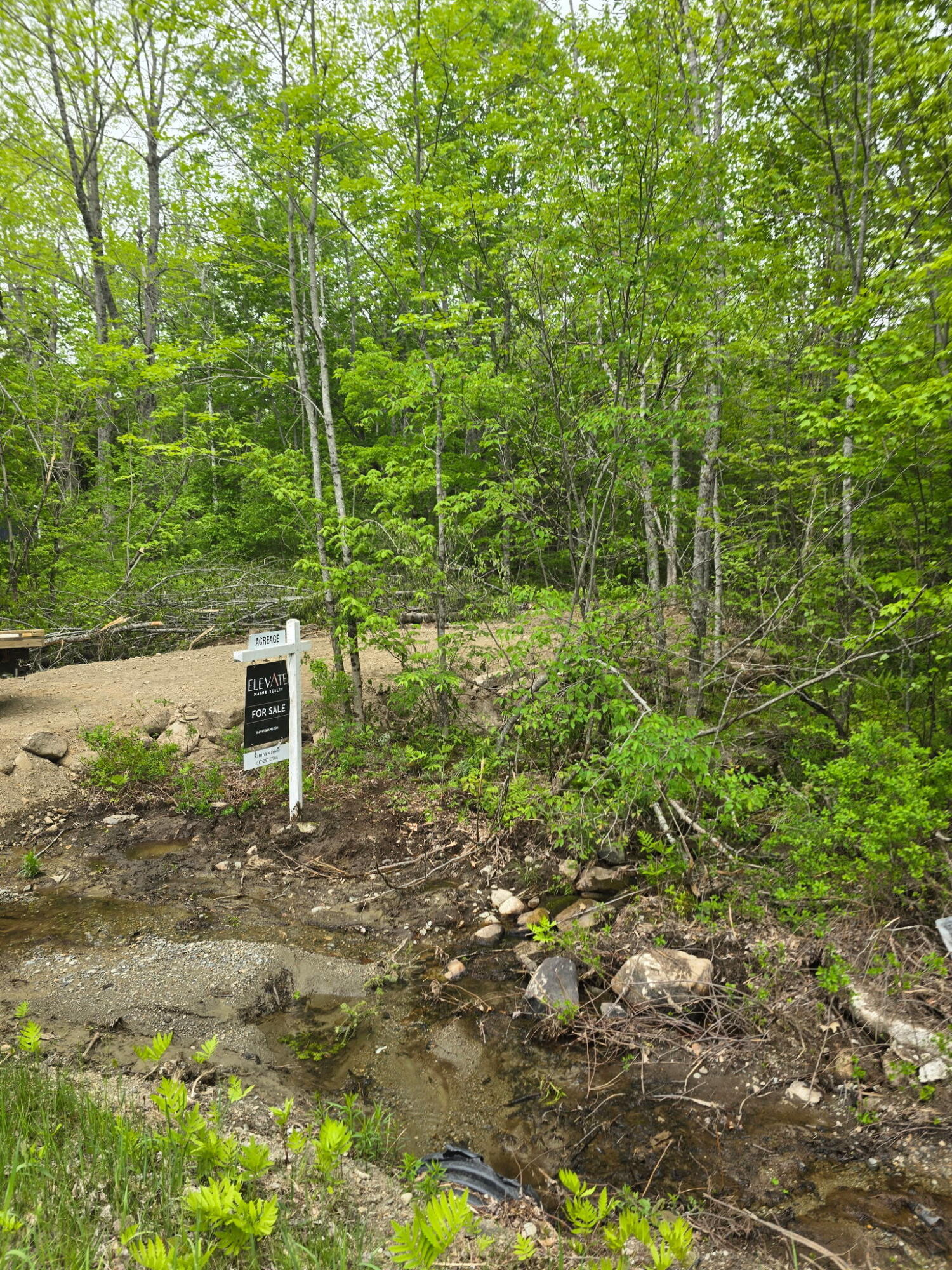 Lot 33 Map 04 Bog Hill Road Searsport, ME 04974 - Photo 1 of 3 1000003461