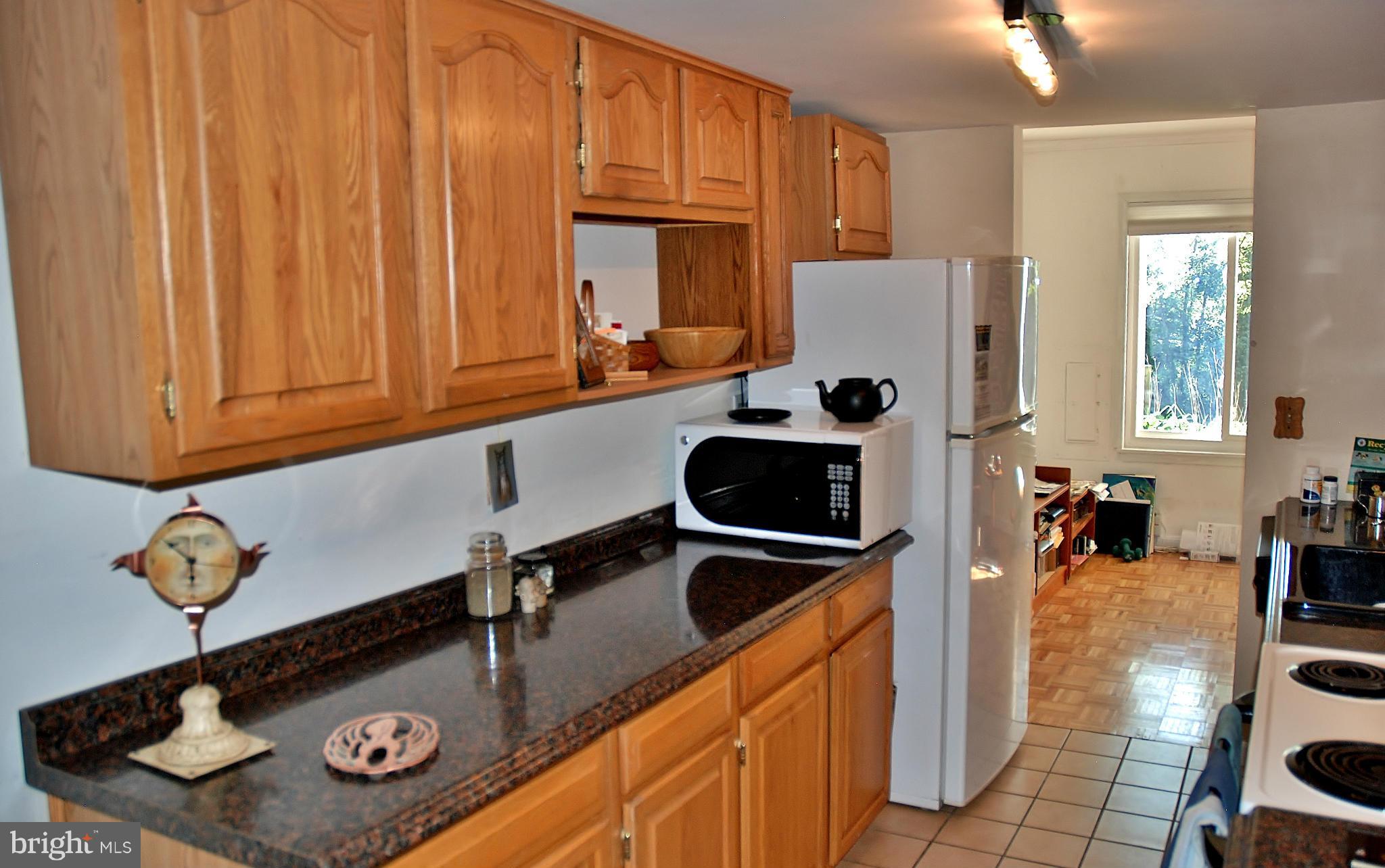 19547 Transhire Road Gaithersburg, MD 20886 - Photo 16 of 28 Kitchen Side View 3