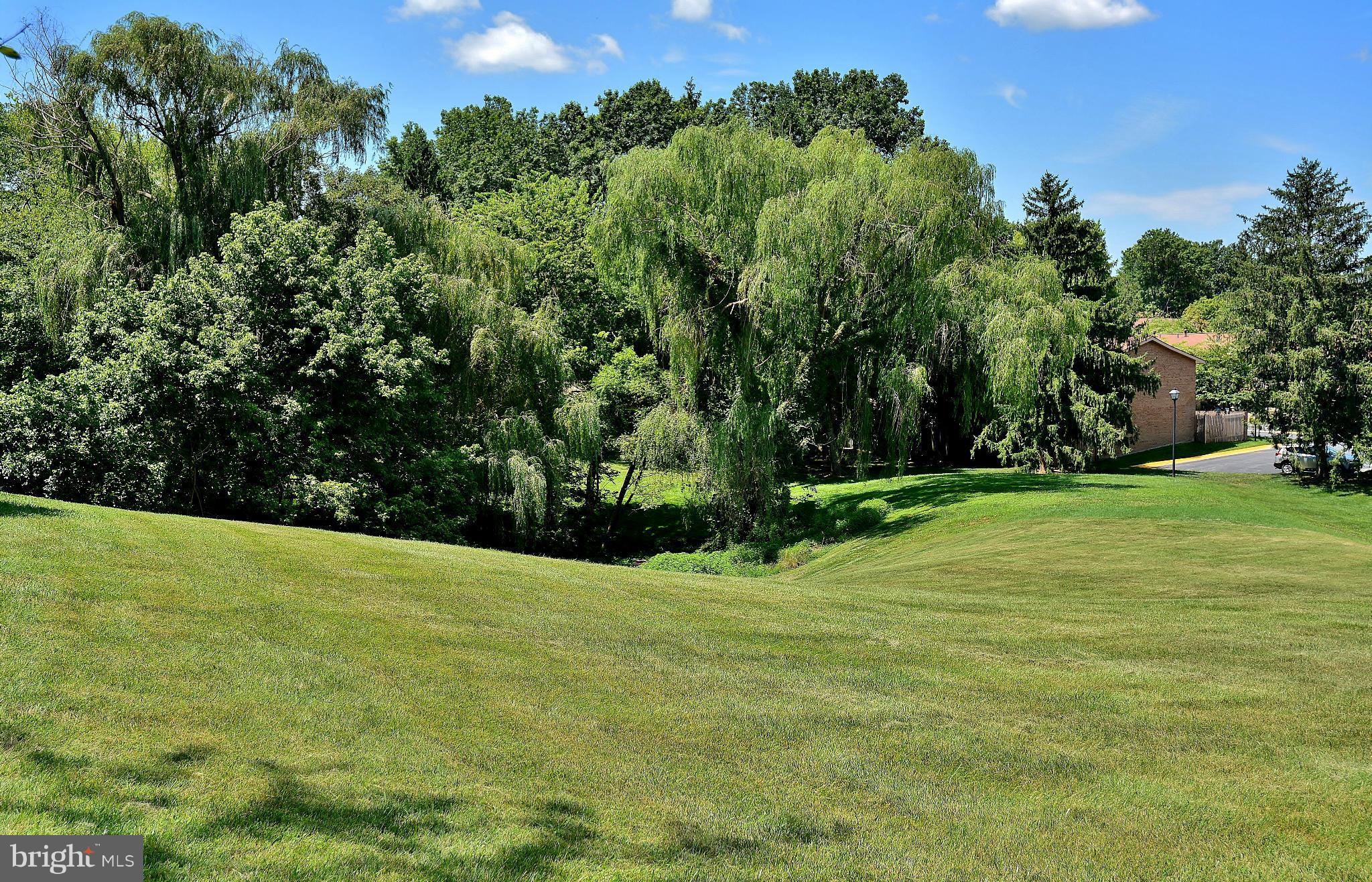 19547 Transhire Road Gaithersburg, MD 20886 - Photo 8 of 28 Gently Rolling Private Views Behind House