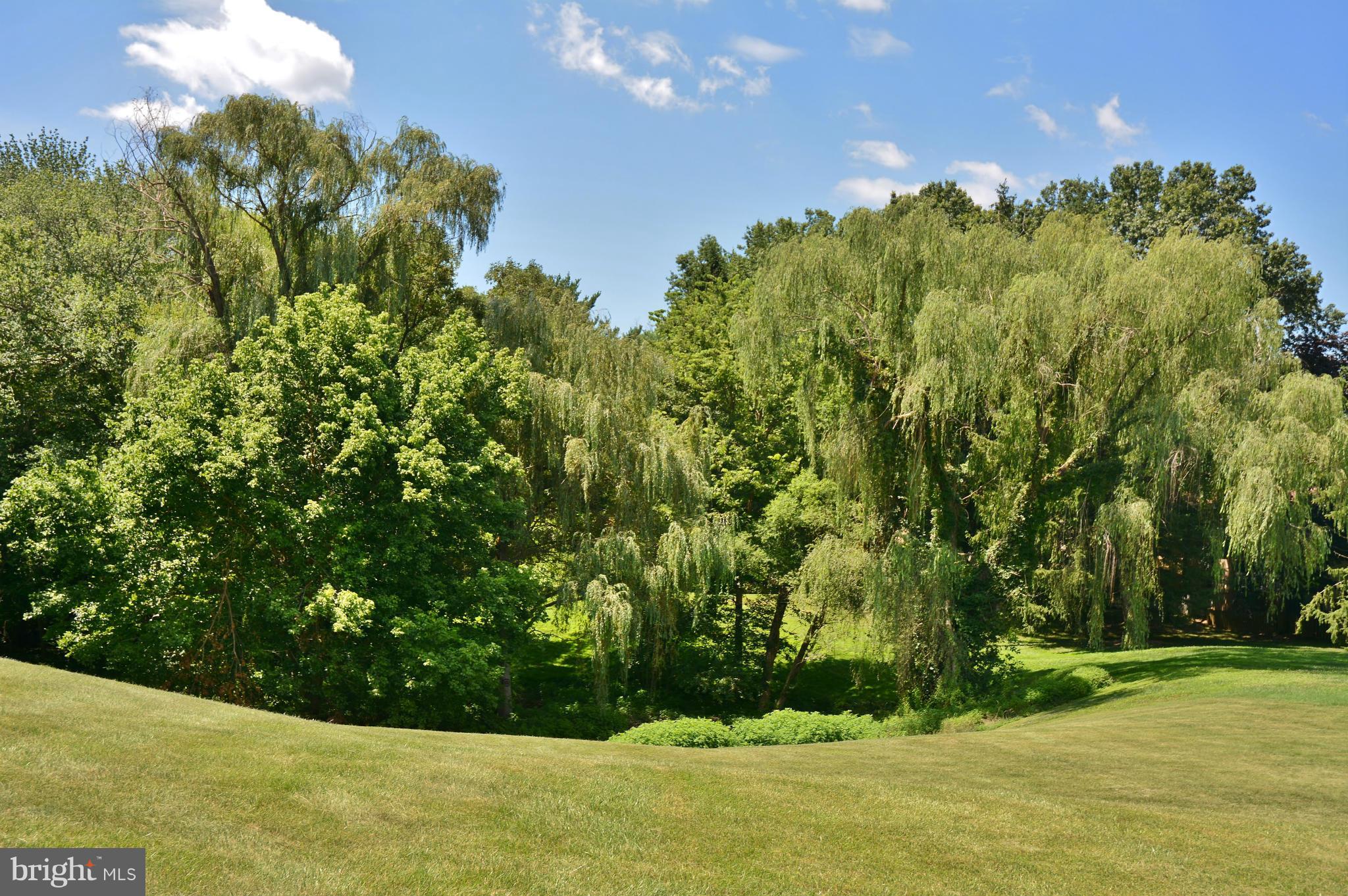 19547 Transhire Road Gaithersburg, MD 20886 - Photo 9 of 28 Gently Rolling Private Views Behind House