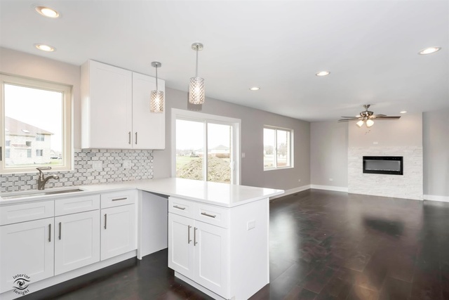 5029 Ribbon Drive Monee, IL 60449 - Photo 13 of 27 Gallery Image 13