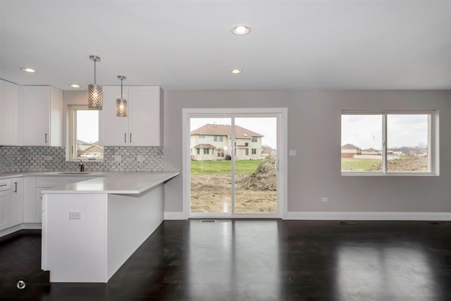5029 Ribbon Drive Monee, IL 60449 - Photo 15 of 27 Gallery Image 15