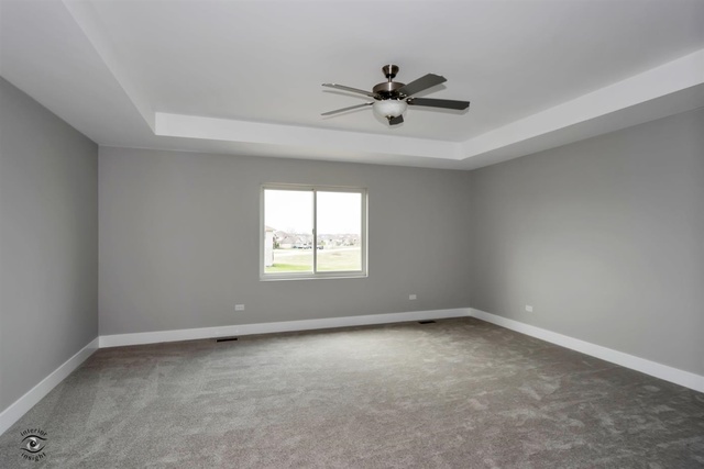 5029 Ribbon Drive Monee, IL 60449 - Photo 17 of 27 Gallery Image 17
