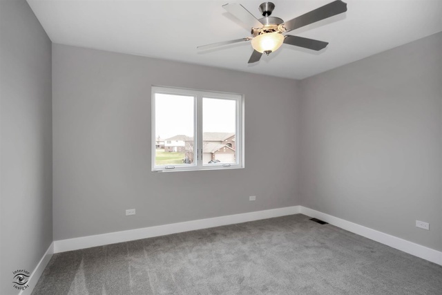 5029 Ribbon Drive Monee, IL 60449 - Photo 21 of 27 Gallery Image 21