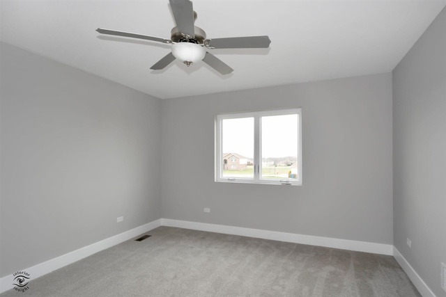 5029 Ribbon Drive Monee, IL 60449 - Photo 22 of 27 Gallery Image 22