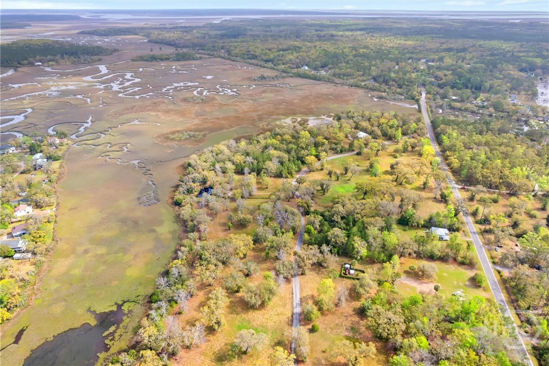 Lot 27 Cattle Hammock Road Midway, GA 31320 - Photo 10 of 30
