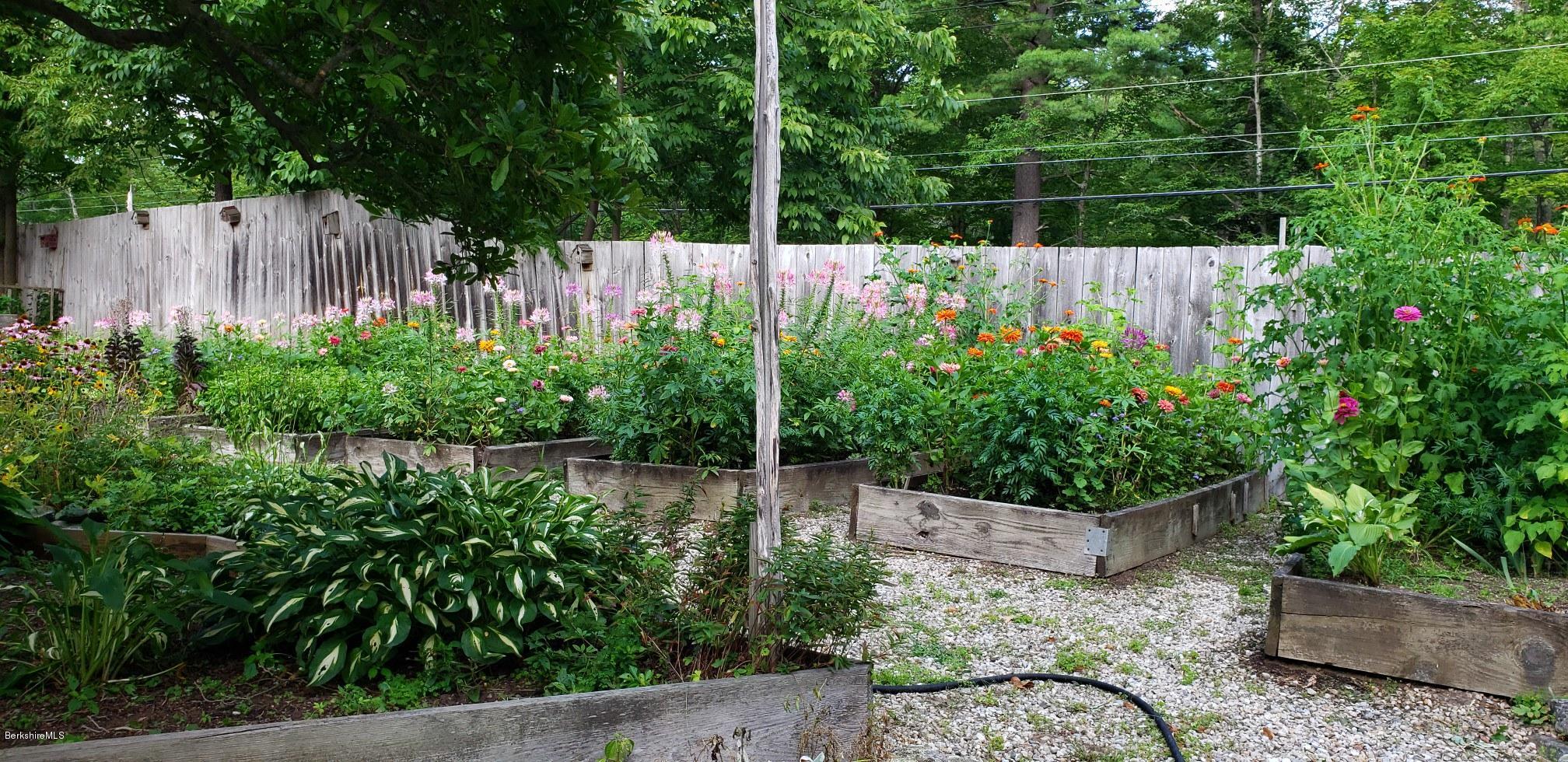 9 Dimmock Road Otis, MA 01253 - Photo 25 of 29 25gardens1