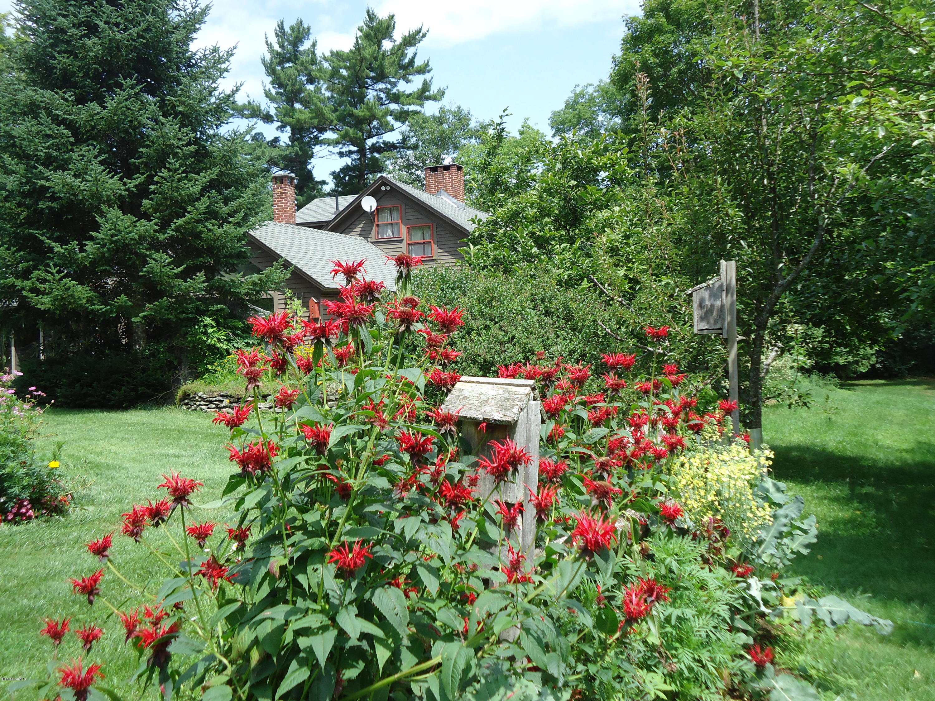 9 Dimmock Road Otis, MA 01253 - Photo 26 of 29 gardens
