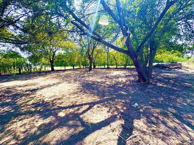 a view of a tree in the middle of a yard