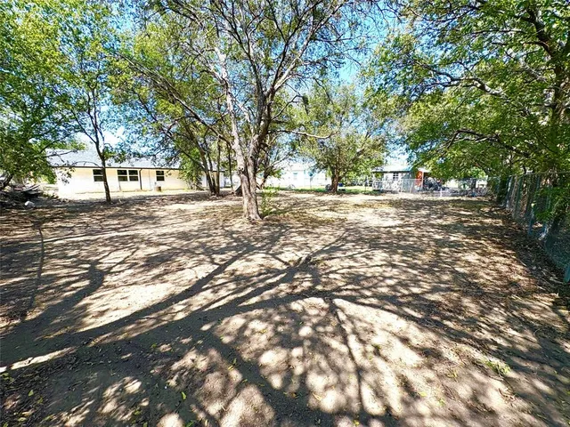 a view of a yard with plants and trees