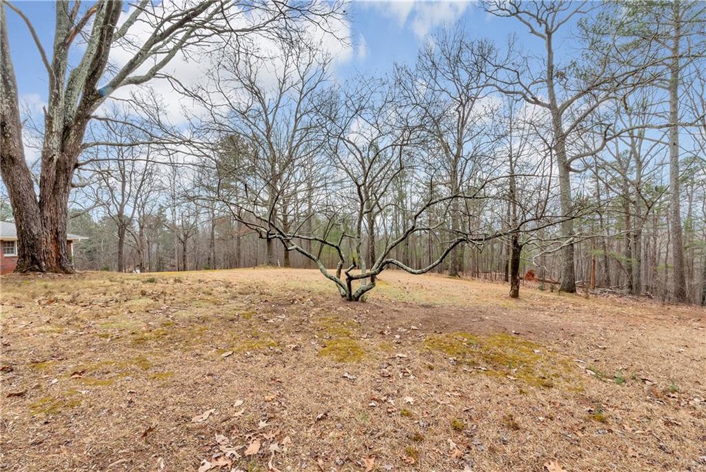 5972 McEver Road Flowery Branch, GA 30542 - Photo 15 of 45