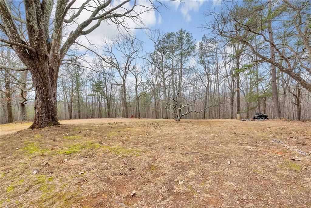 5972 McEver Road Flowery Branch, GA 30542 - Photo 16 of 45