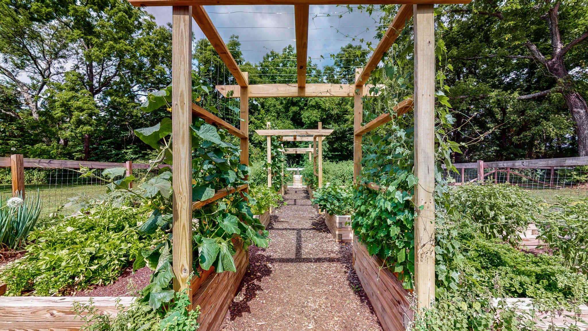 5530 Baker Road Murfreesboro, TN 37129 - Photo 33 of 49 Even the garden is artfully done. These trellises will make an amazing walkway through the garden as vines climb up and over. Plenty of space to move between boxes and tend to your garden!