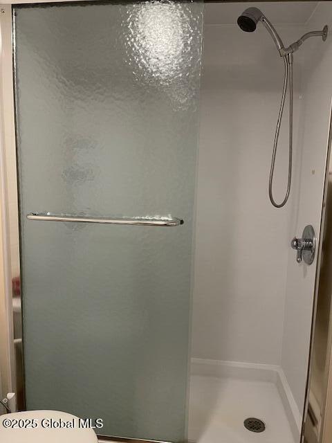 78 Bross Street Cairo, NY 12413 - Photo 12 of 21 Shower in Downstairs Bathroom