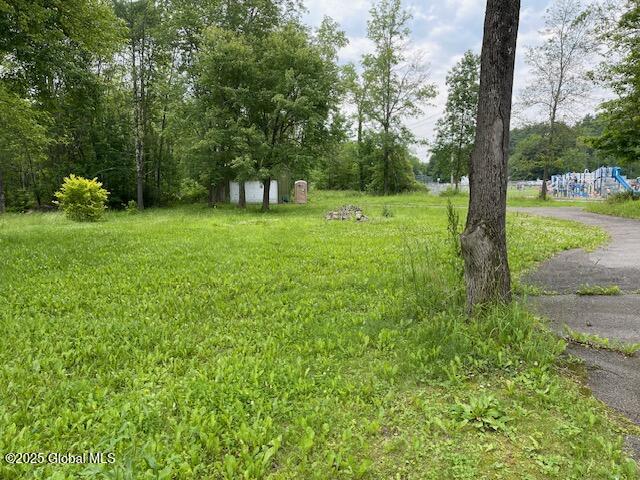 78 Bross Street Cairo, NY 12413 - Photo 20 of 21 Backyard