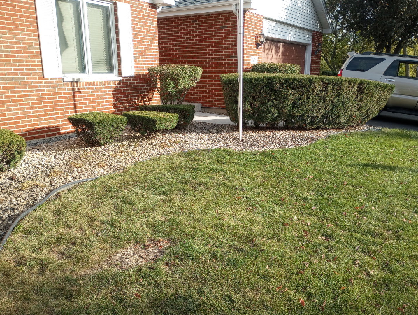 26253 South Ruby Street Monee, IL 60449 - Photo 5 of 45 a view of a backyard of the house