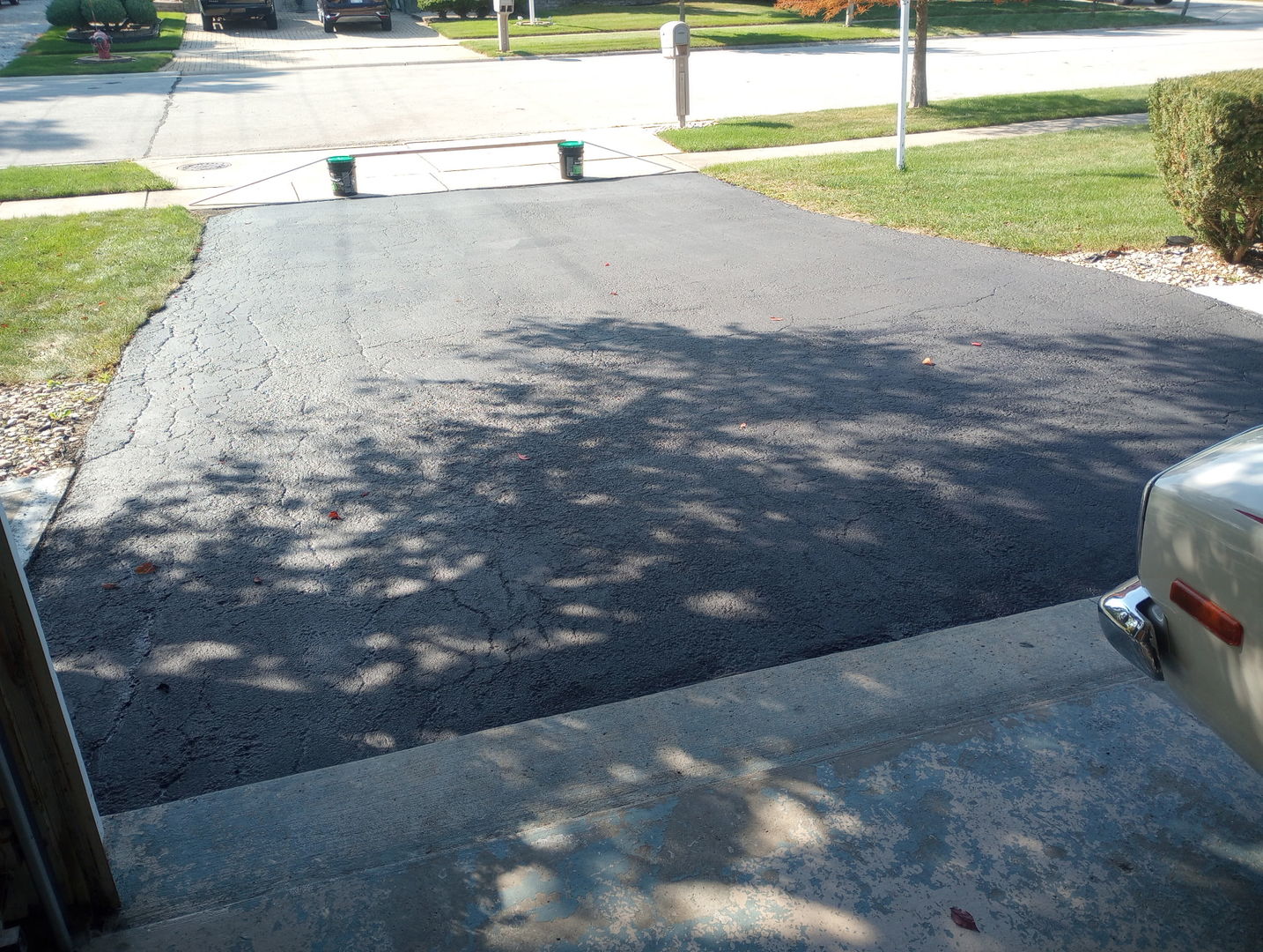 26253 South Ruby Street Monee, IL 60449 - Photo 6 of 45 a view of a backyard