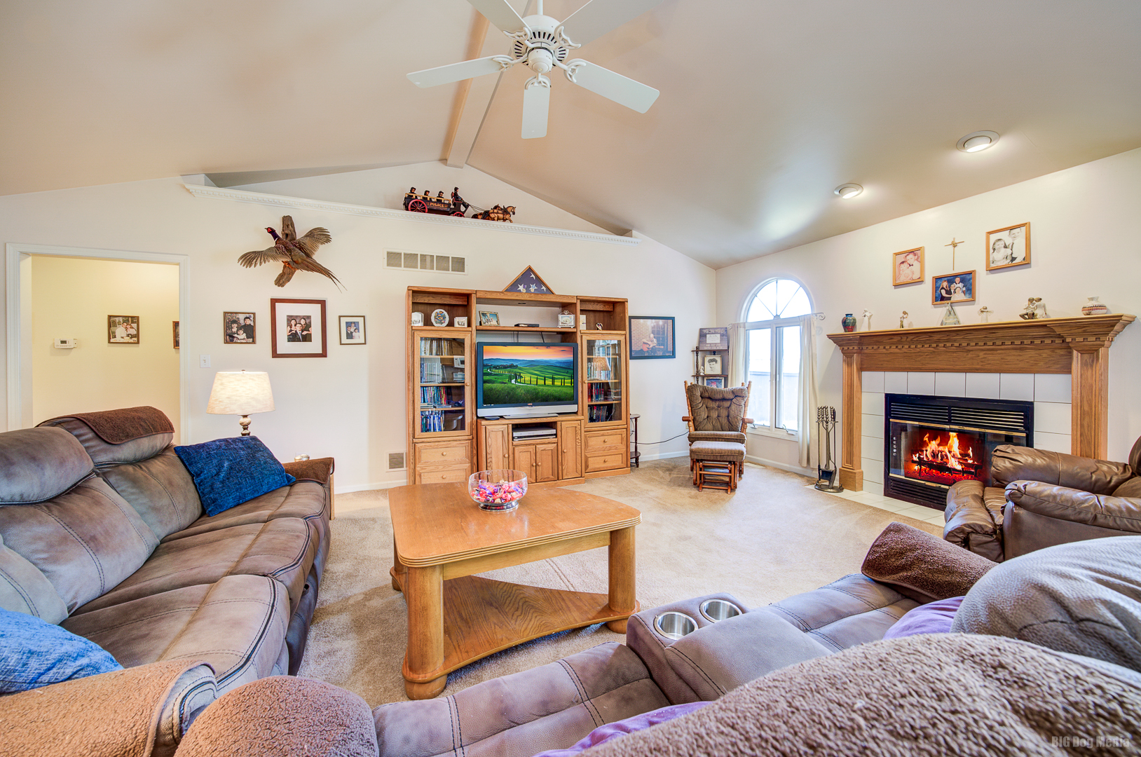 26253 South Ruby Street Monee, IL 60449 - Photo 10 of 45 a living room with furniture and a fireplace