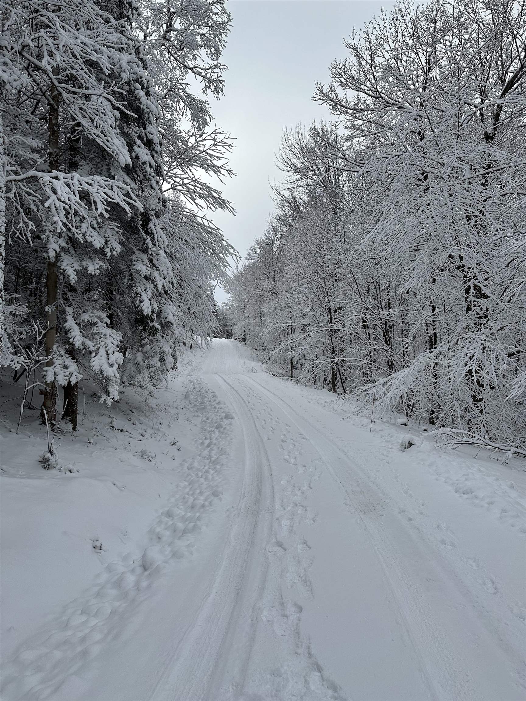 16 Running Sap Lane West Dover, VT 05356 - Photo 50 of 55