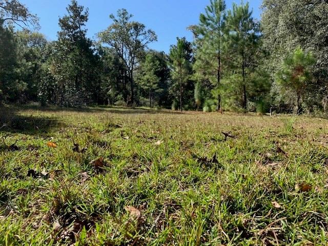 87270 Bell River Estate Road Yulee, FL 32097 - Photo 1 of 9 Gallery Image 1