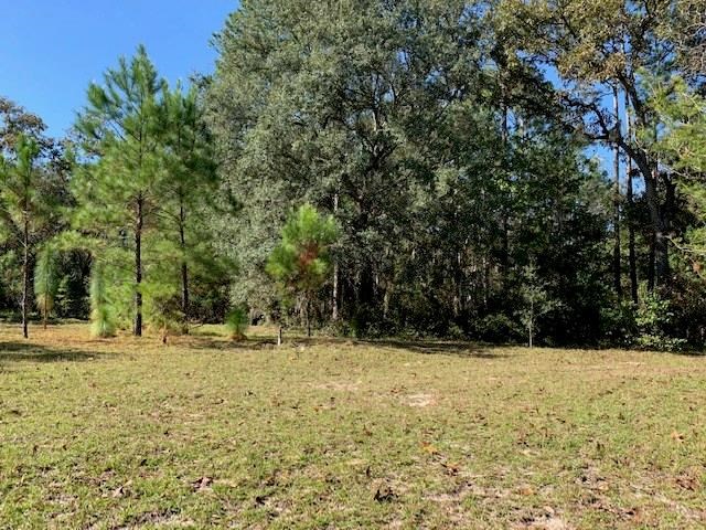 87270 Bell River Estate Road Yulee, FL 32097 - Photo 3 of 9 Gallery Image 3