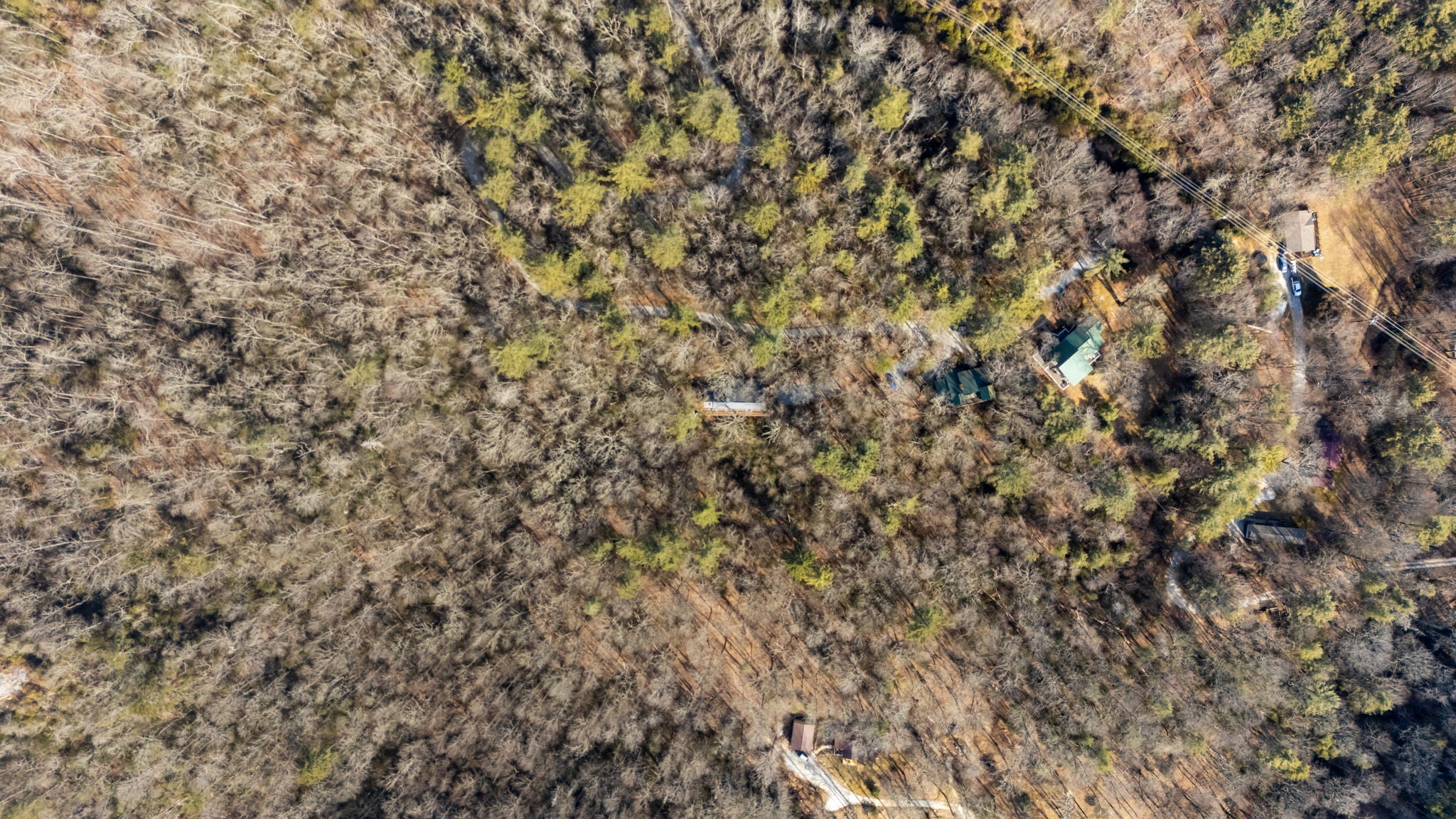 290 Blue Ridge Lane Cashiers, NC 28717 - Photo 58 of 64 Gallery Image 58