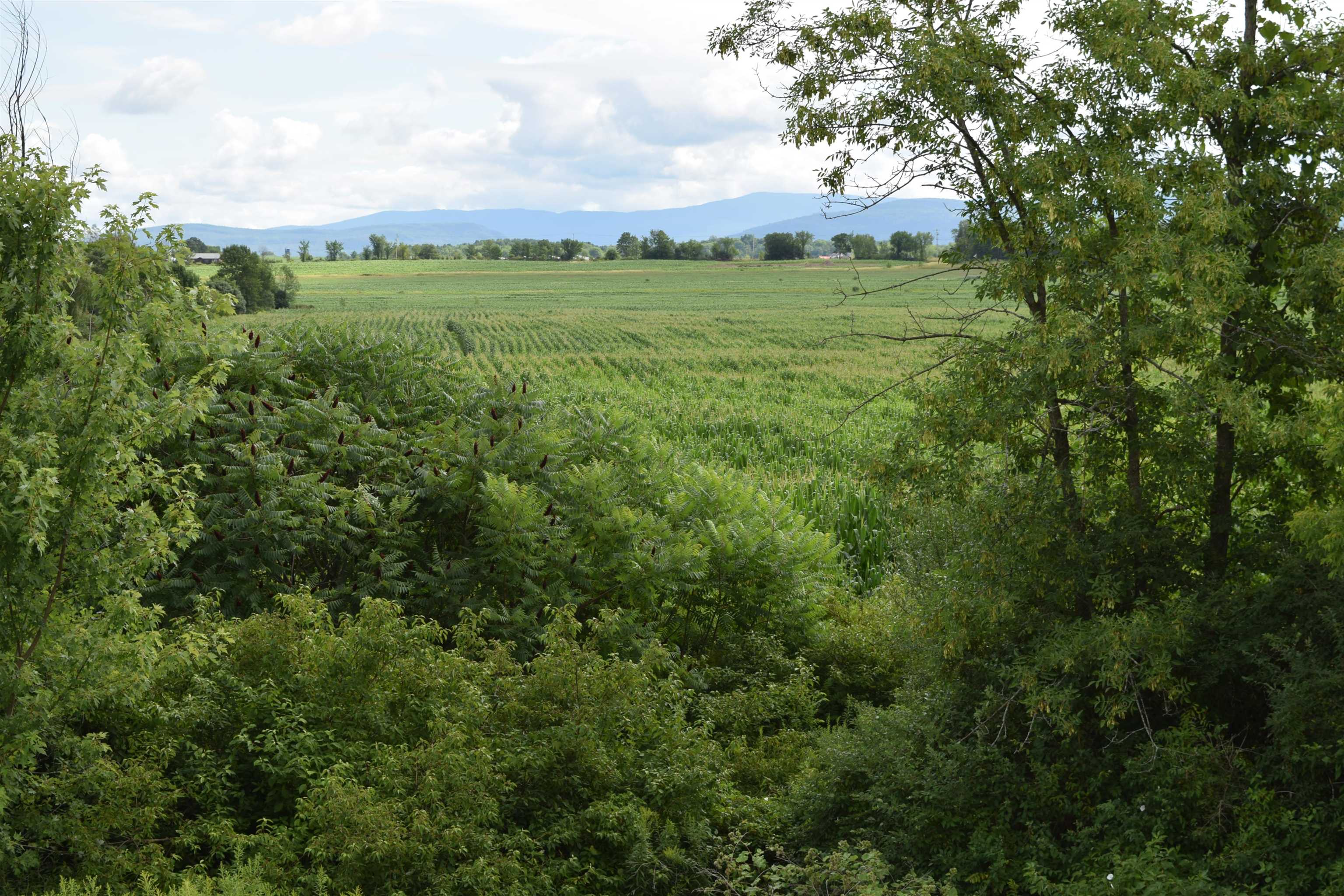 2938 Quaker Village Road Weybridge, VT 05753 - Photo 17 of 25