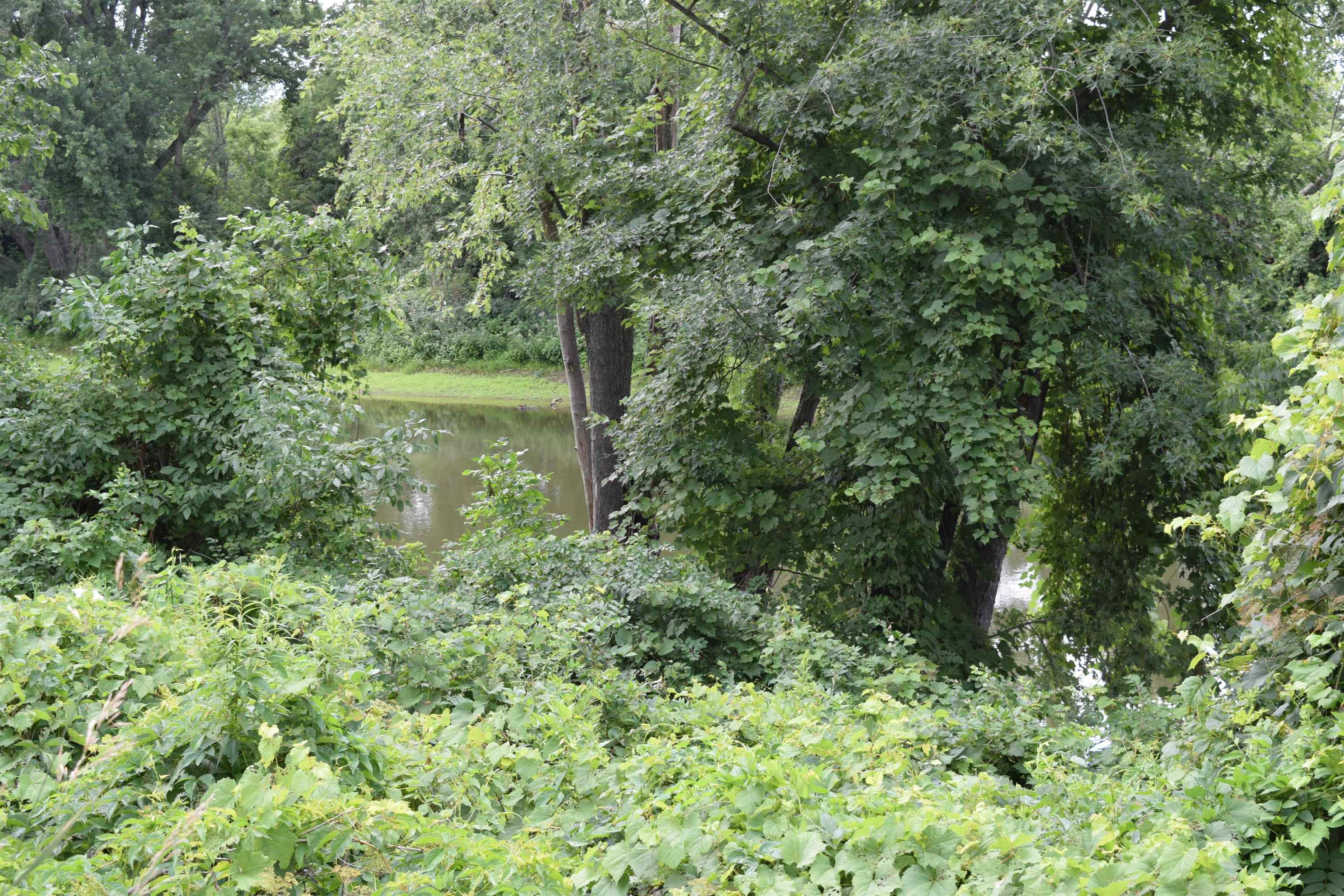 2938 Quaker Village Road Weybridge, VT 05753 - Photo 21 of 25