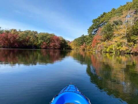 15 Shaker House Road Sandwich, MA 02563 - Photo 11 of 46 Kayak on Lake