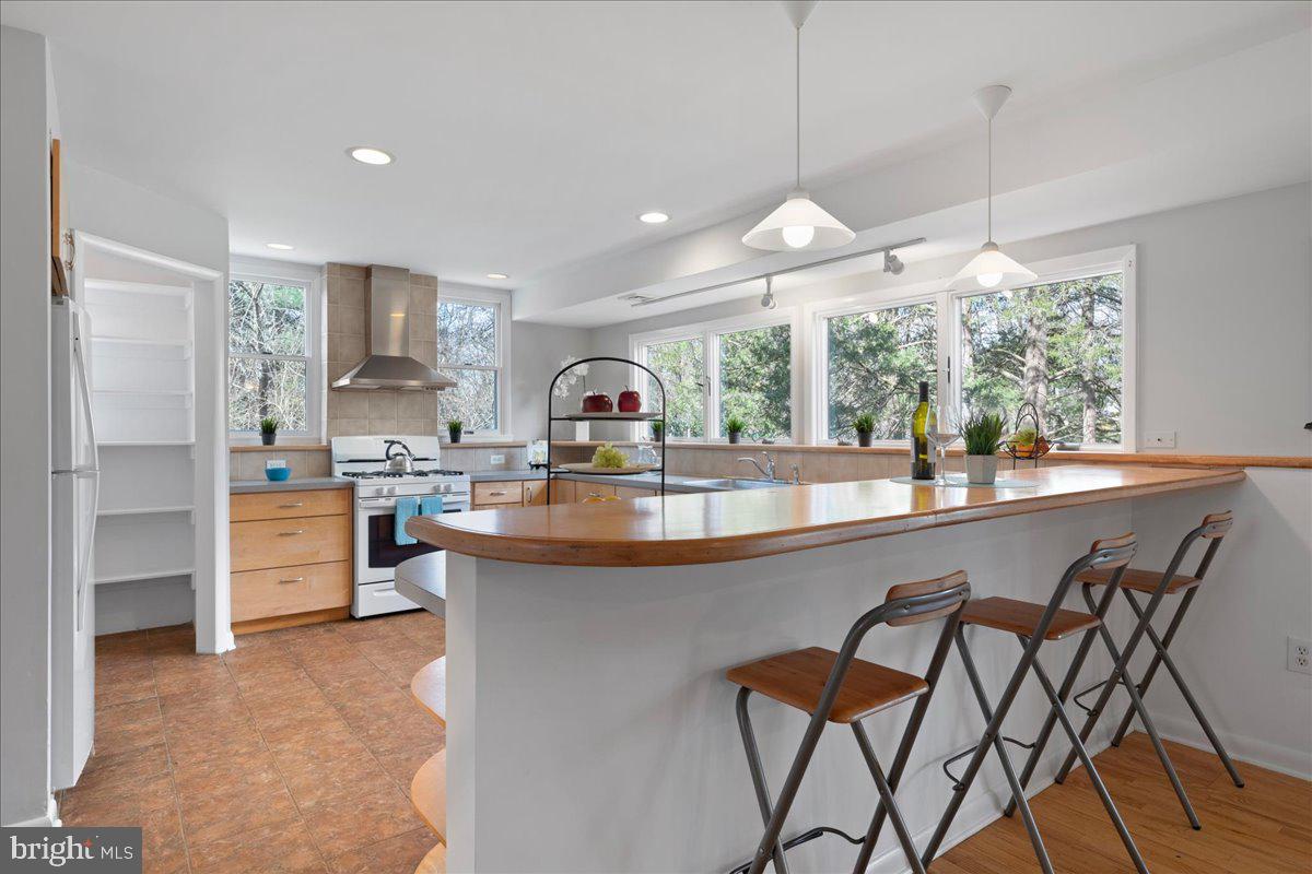 388 Terhune Road Princeton, NJ 08540 - Photo 13 of 33 Kitchen