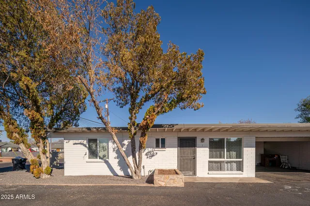a front view of a house with a tree