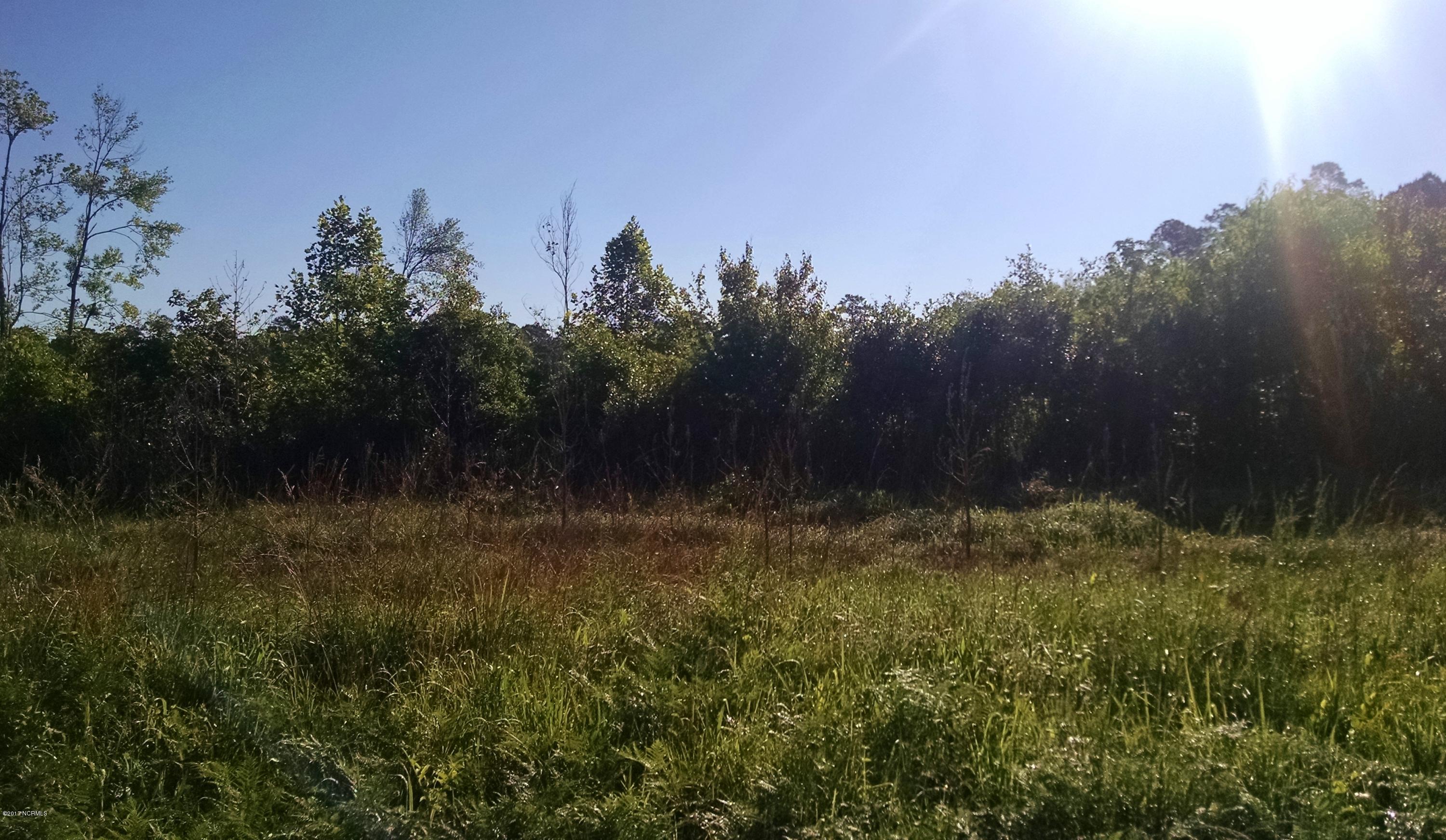 0 Old Sand Ridge Road Hubert, NC 28539 - Photo 1 of 1 Old Sandridge Rd