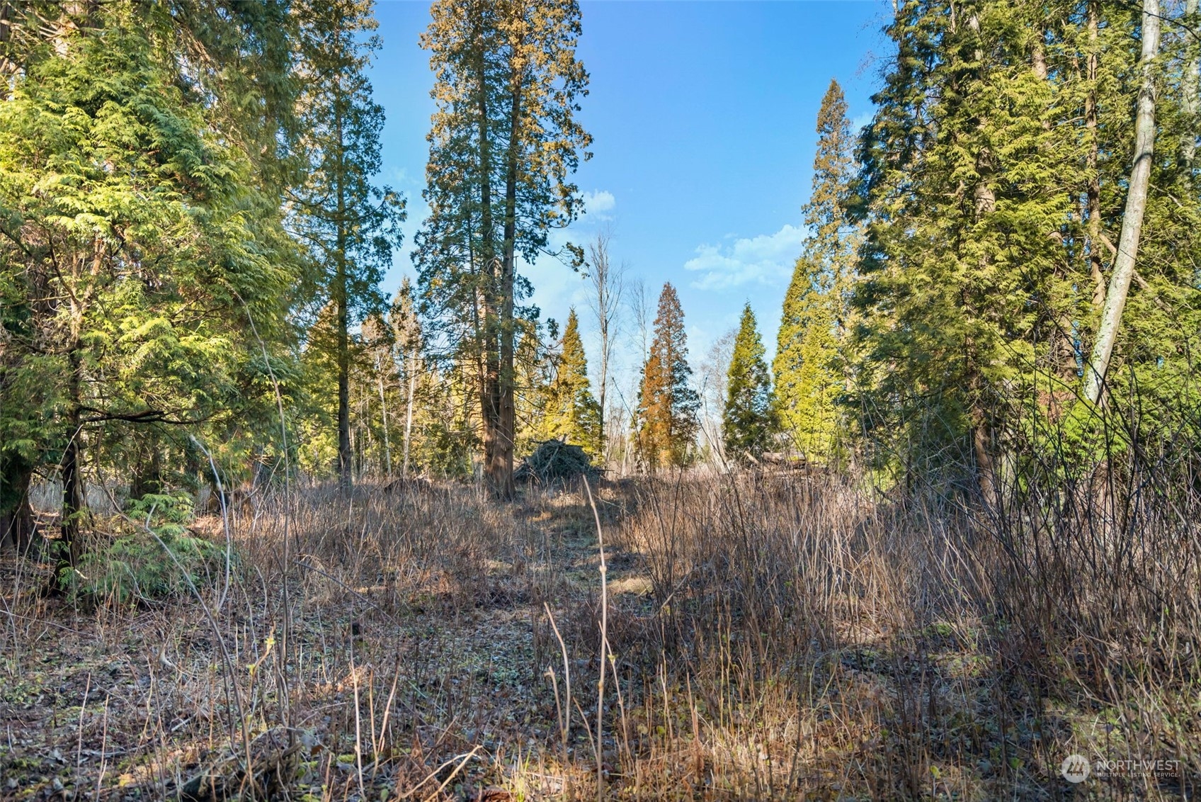 3155 Mountain View Road Ferndale, WA 98248 - Photo 28 of 31