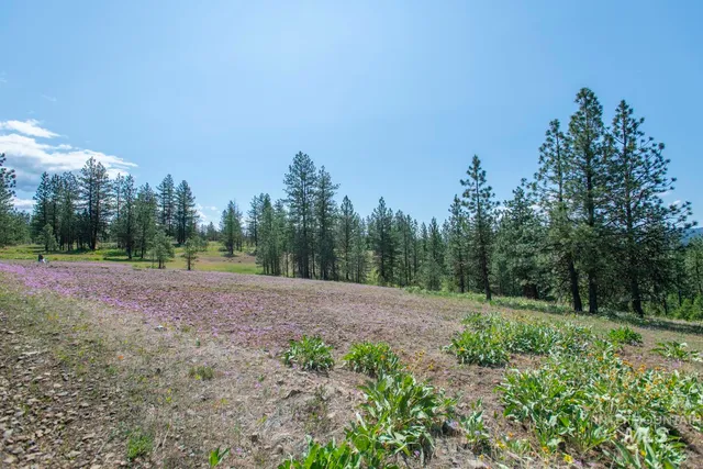 $8,892,000 | Tbd1 Tbd1 Us-95 New Meadows, New Meadows, ID 83654